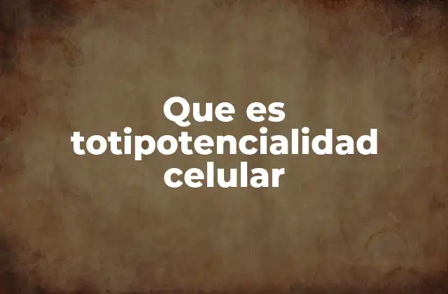 Que es Totipotencialidad Celular