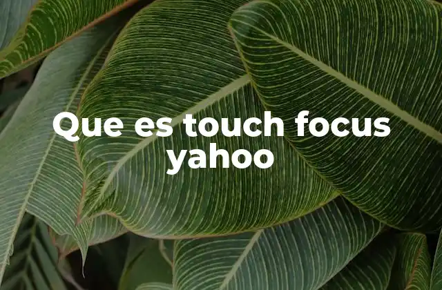 Que es Touch Focus Yahoo