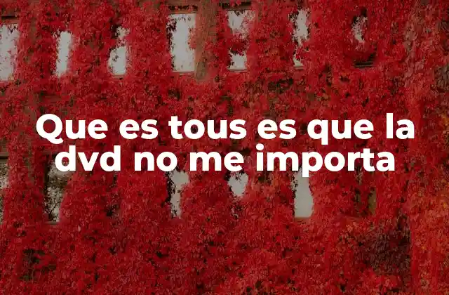 Que es Tous es que la Dvd No Me Importa