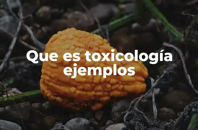 Que es Toxicología Ejemplos
