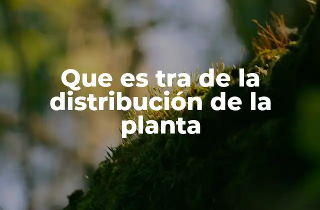 Que es Tra de la Distribución de la Planta