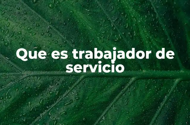 Que es Trabajador de Servicio