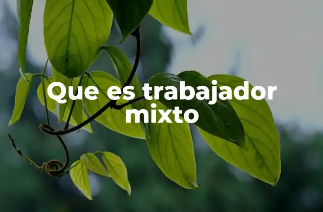 Que es Trabajador Mixto