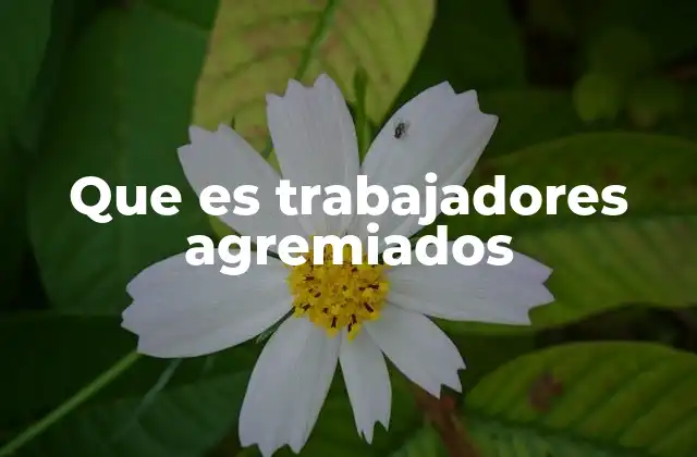 Que es Trabajadores Agremiados