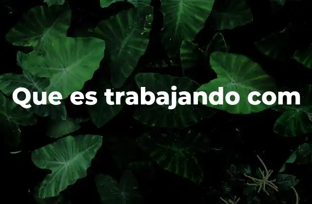 Que es Trabajando Com