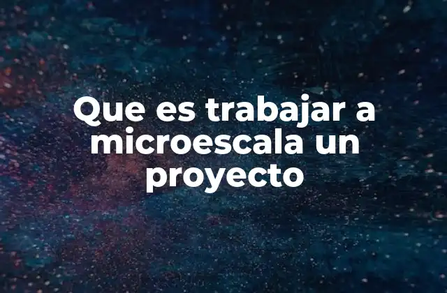 Que es Trabajar a Microescala un Proyecto