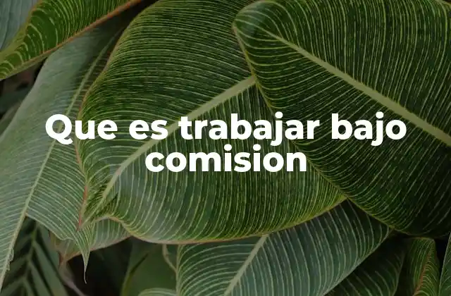 El funcionamiento del trabajo bajo comisión