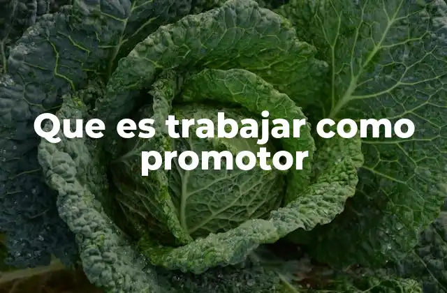 Que es Trabajar como Promotor