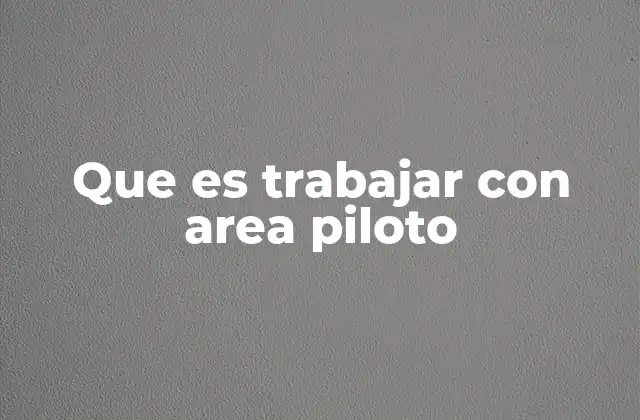 Que es Trabajar con Area Piloto