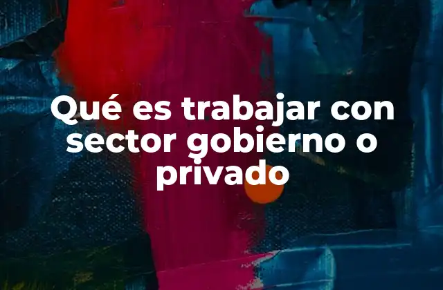 Qué es Trabajar con Sector Gobierno o Privado