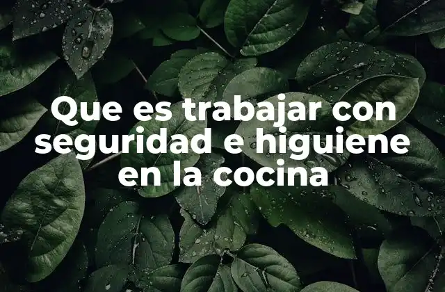 Que es Trabajar con Seguridad e Higuiene en la Cocina