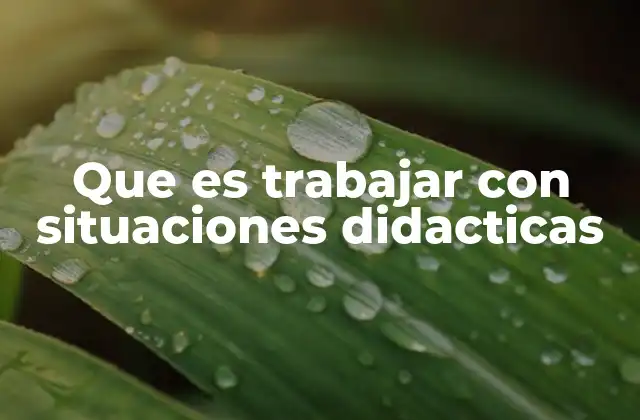 Que es Trabajar con Situaciones Didacticas