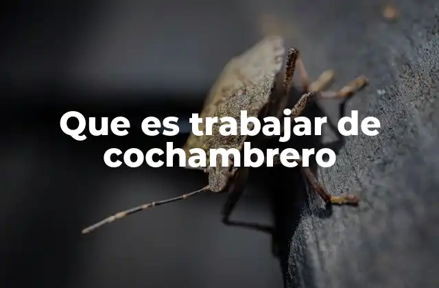 Características del trabajo de cochambrero