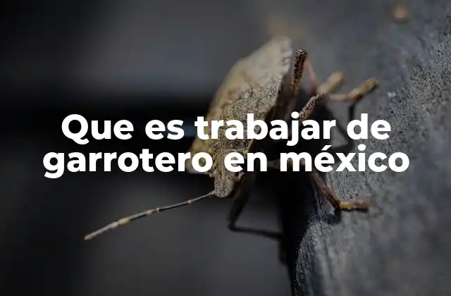 Que es Trabajar de Garrotero en México 2 El oficio del garrotero en el contexto cultural mexicano