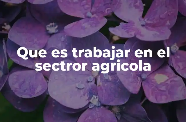 Que es Trabajar en el Sectror Agricola