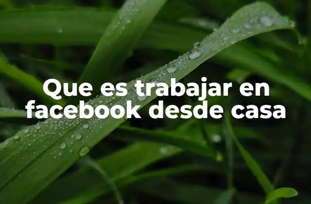 Que es Trabajar en Facebook desde Casa