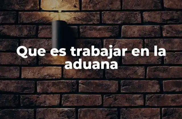 Que es Trabajar en la Aduana