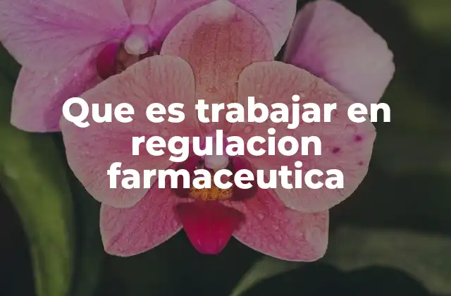 Que es Trabajar en Regulacion Farmaceutica