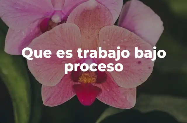 Que es Trabajo bajo Proceso