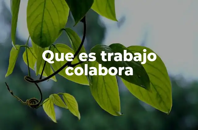 Que es Trabajo Colabora
