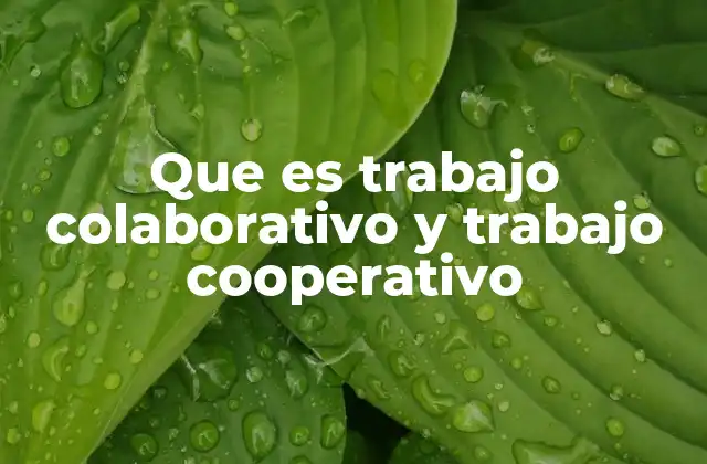 Que es Trabajo Colaborativo y Trabajo Cooperativo