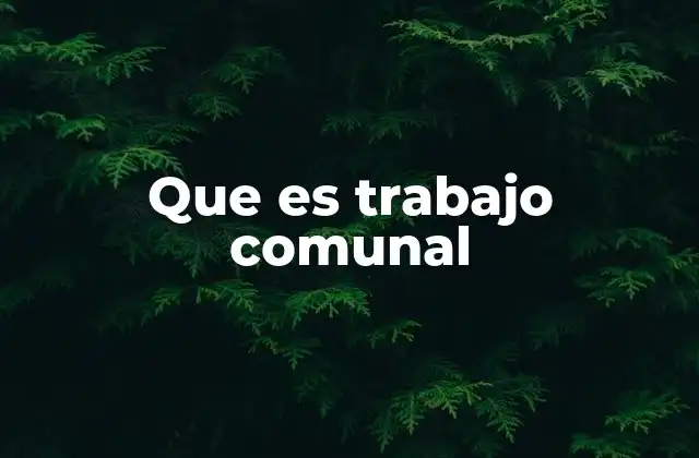 Que es Trabajo Comunal