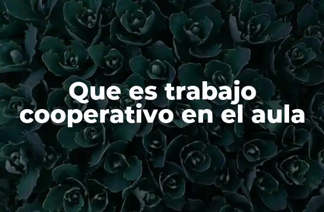 Que es Trabajo Cooperativo en el Aula