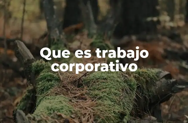 Que es Trabajo Corporativo
