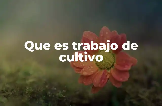 Que es Trabajo de Cultivo
