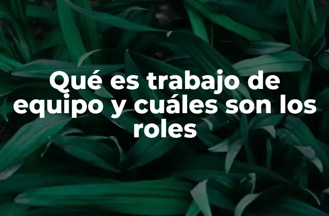 Qué es Trabajo de Equipo y Cuáles Son los Roles