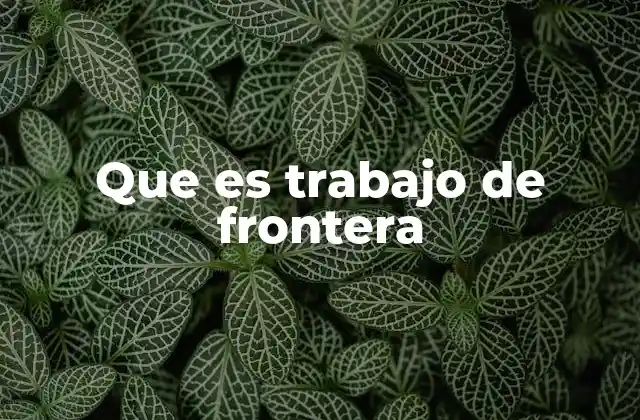 Que es Trabajo de Frontera