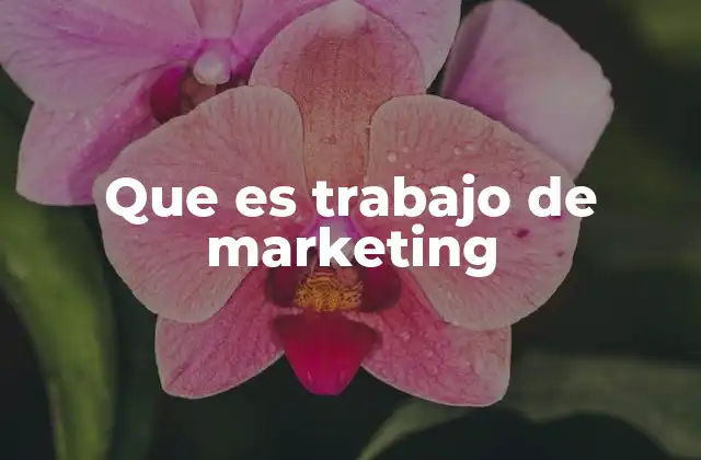 Que es Trabajo de Marketing 2 El papel del marketing en la estrategia empresarial