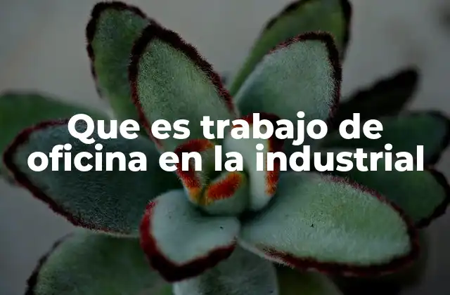 Que es Trabajo de Oficina en la Industrial 2 La importancia de la gestión administrativa en entornos industriales