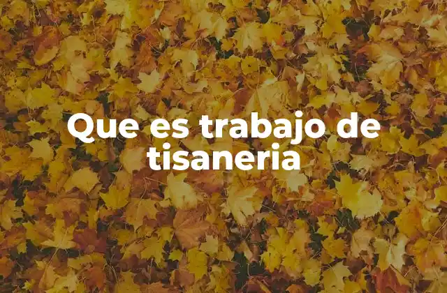 Que es Trabajo de Tisaneria