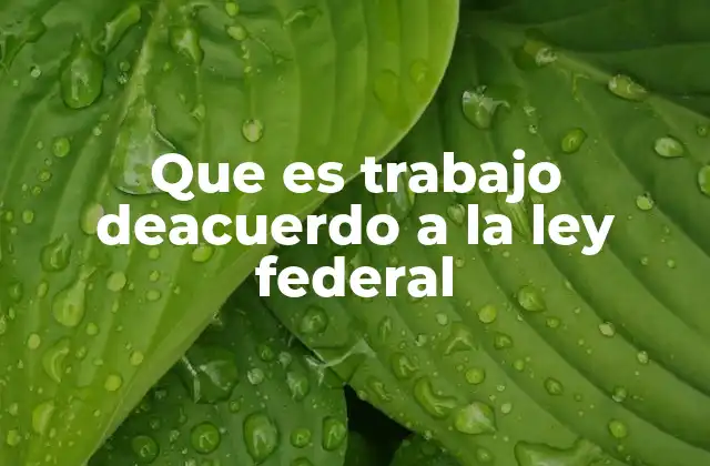 Que es Trabajo Deacuerdo a la Ley Federal