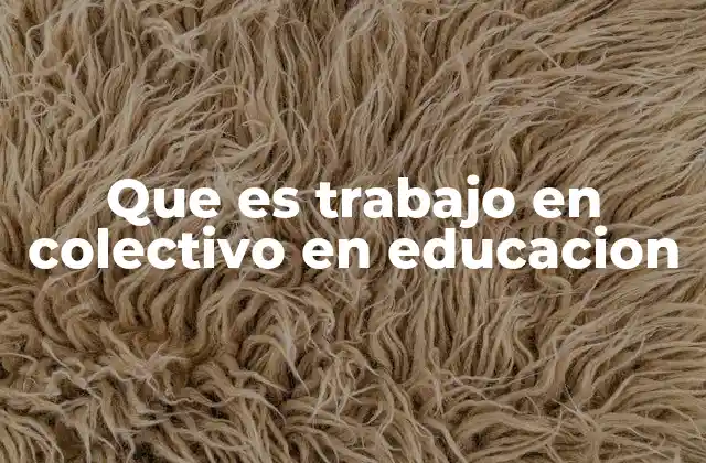 Que es Trabajo en Colectivo en Educacion