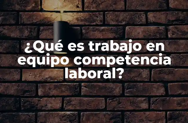¿qué es Trabajo en Equipo Competencia Laboral?