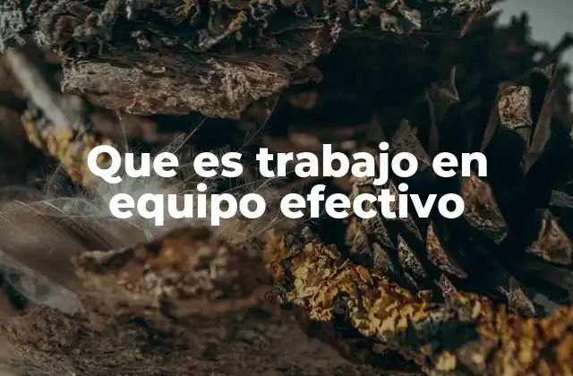 Que es Trabajo en Equipo Efectivo