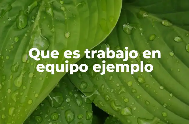 Que es Trabajo en Equipo Ejemplo