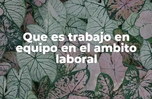 Que es Trabajo en Equipo en el Ambito Laboral