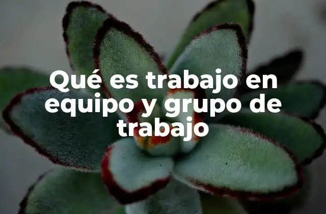 Qué es Trabajo en Equipo y Grupo de Trabajo