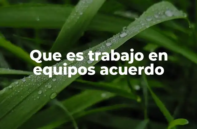 Que es Trabajo en Equipos Acuerdo