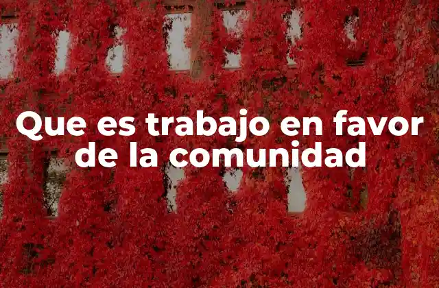 Que es Trabajo en Favor de la Comunidad