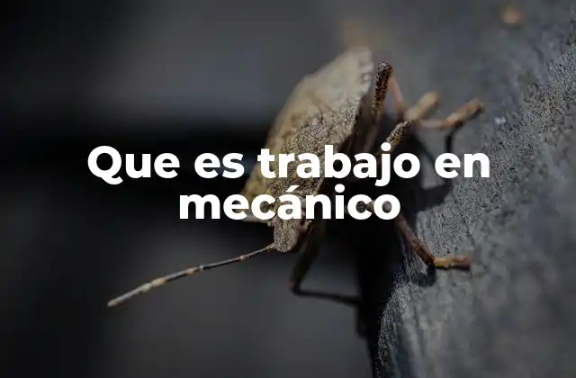 Que es Trabajo en Mecánico