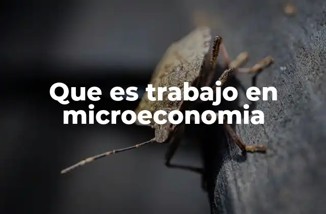 Que es Trabajo en Microeconomia
