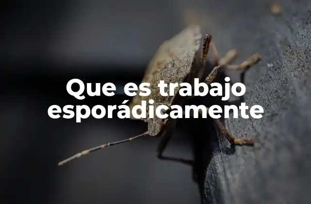 Que es Trabajo Esporádicamente