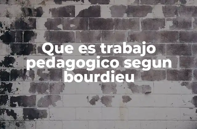 Que es Trabajo Pedagogico Segun Bourdieu
