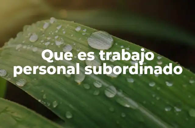 Que es Trabajo Personal Subordinado