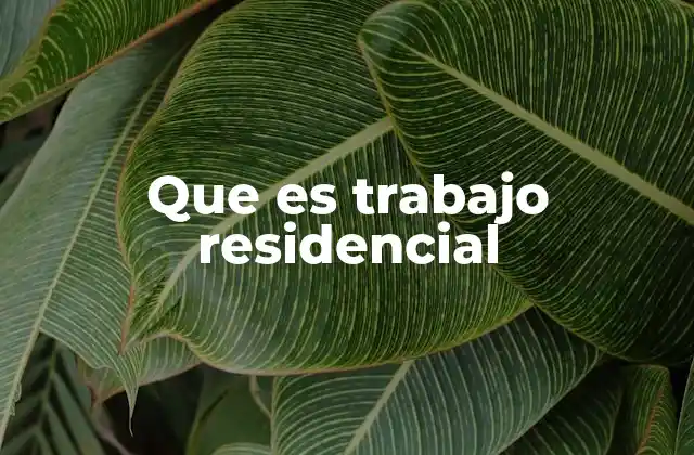 La importancia del trabajo en entornos domésticos