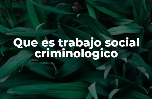 Que es Trabajo Social Criminologico